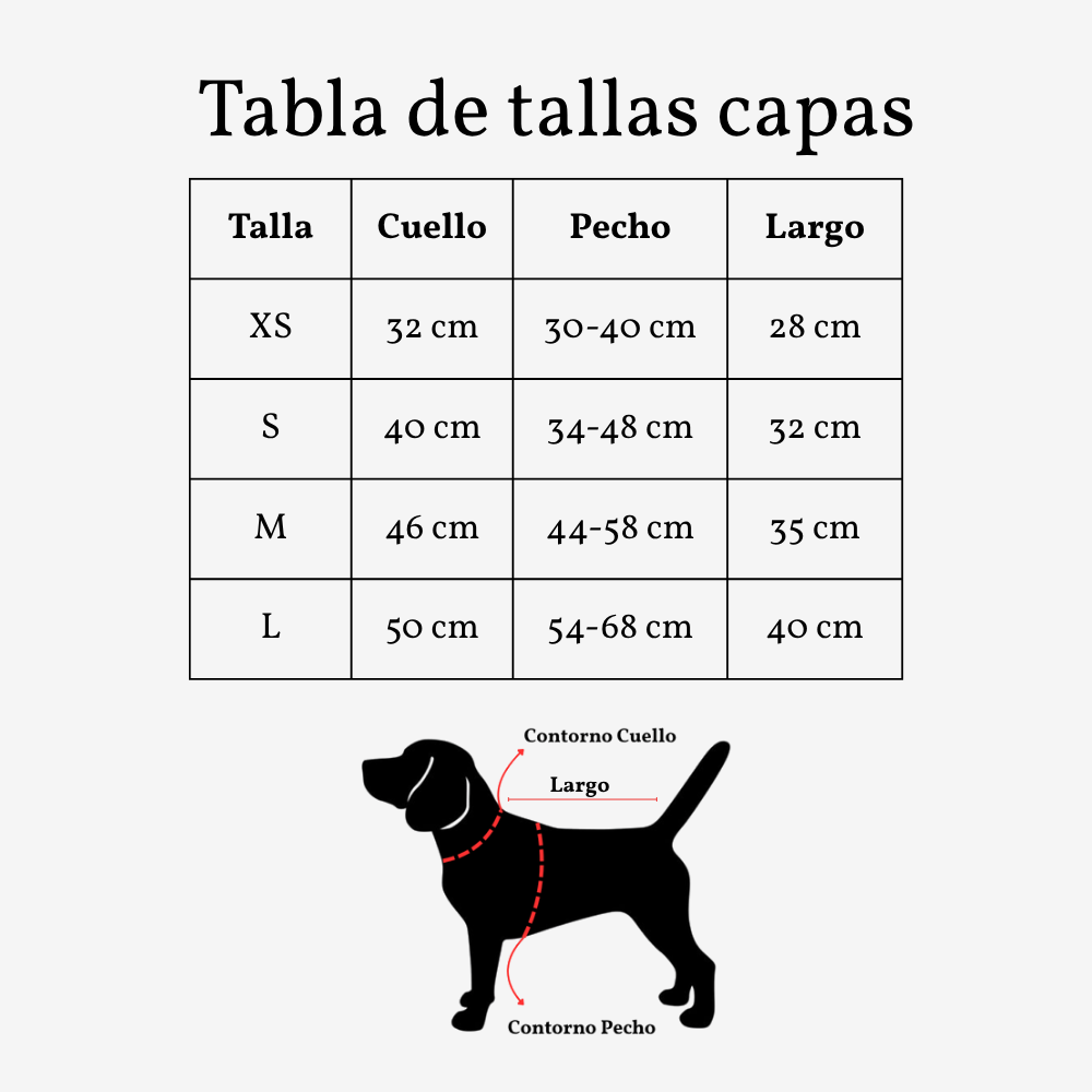 Capa Clásica