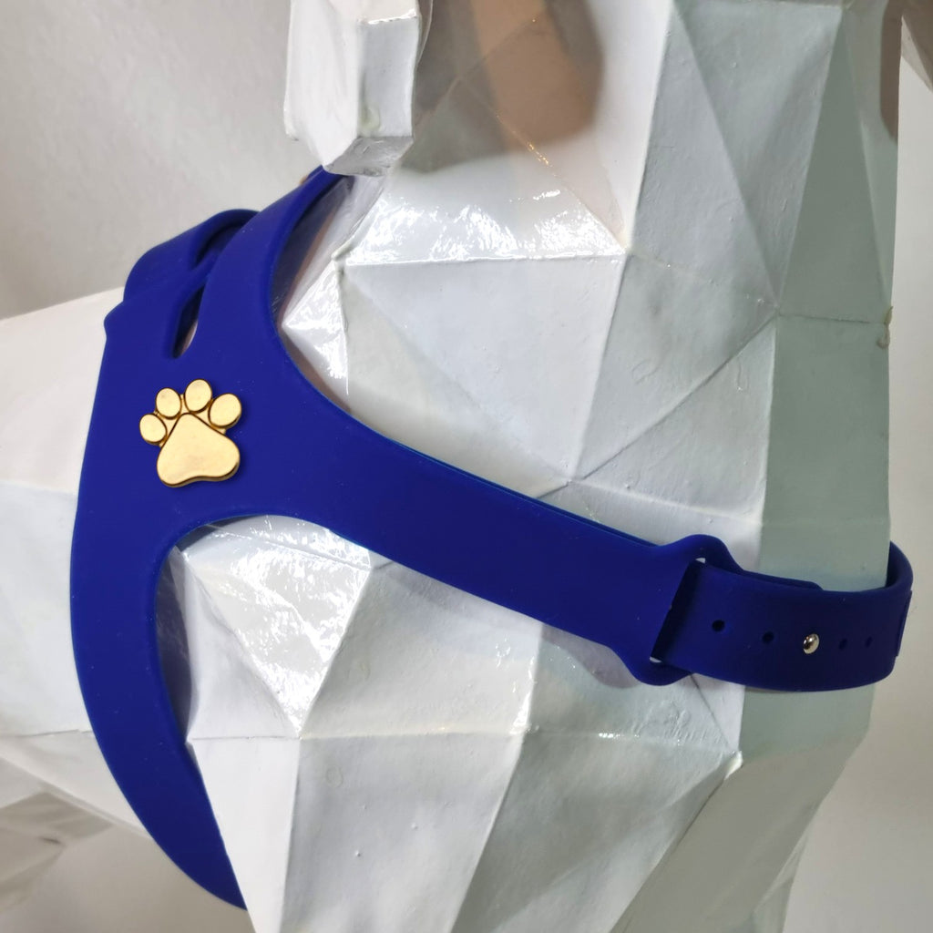 Arnés Azul
